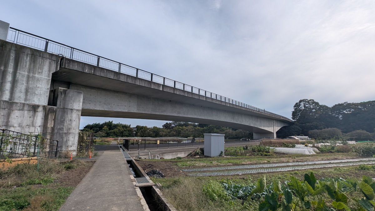 草花大橋を横から見た様子