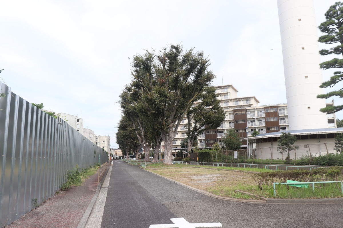 都営住宅内の道路予定地の様子