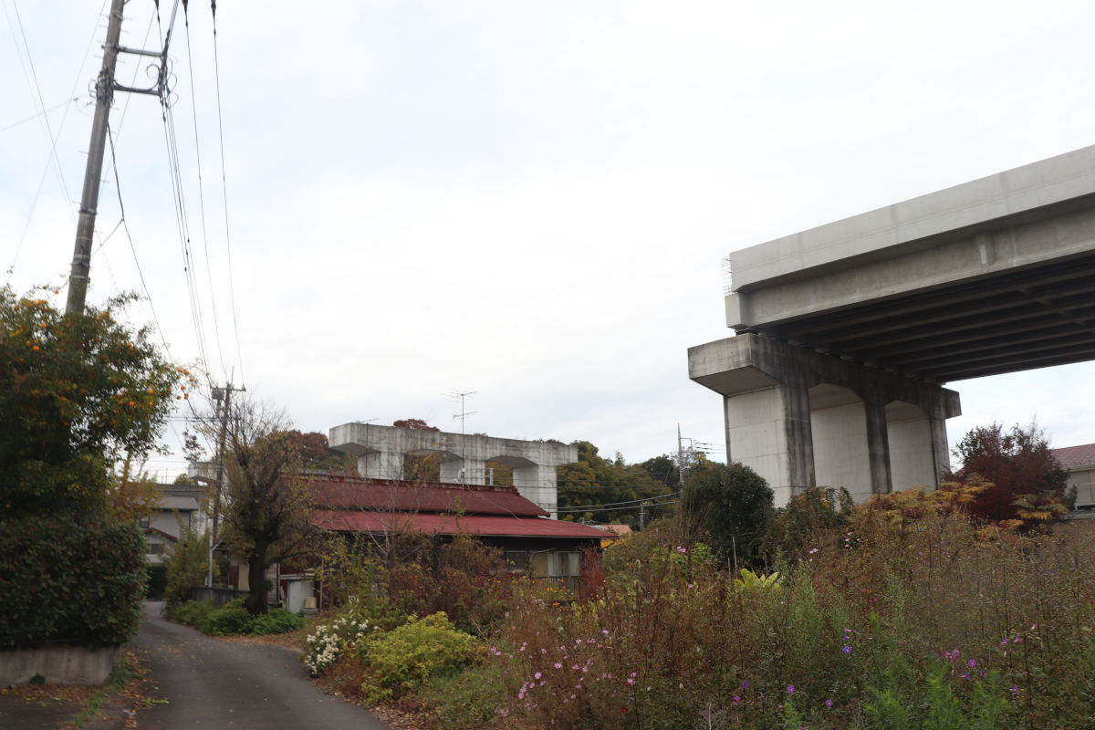 中三田陸橋を下から見る。右側の橋脚がP25